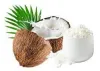 Organic Coconut Milk Powder, Coconut Milk Powder, Coconut Milk Powder Bulk, organic foods, food industry
