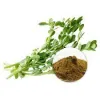 bacopa extract powder, organic bacopa powder, bulk organic bacopa extract