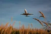 Book Cheap Flight to Melbourne