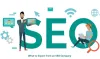 SEO Company in Gurgaon