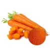 organic carrot powder, bulk organic carrot powder, carrot powder supplier