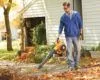 Guide to Use Leaf Blower like A Pro