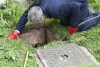 Hire Experts for Drain Unblocking in Queens Park