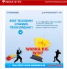 Dream11 Telegram