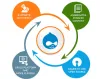 Affordable And Easy Drupal Development Services