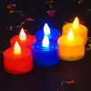 dsc09498.jpg