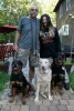 Dog Training - Dog Gone Happy Training