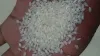 Japonica Rice Exporter, Supplier, Manufacturer in India
