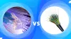 Cable Internet Vs DSL- Which Provider Wins in Performance?