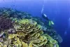 Du lịch Papua New Guinea điểm đến mới hoang sơ | Vietnam Like
