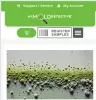 How long do you have to be exposed to mold before it affects you?