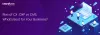 DXP vs CMS : What’s Best for Your Business? | KNOWARTH