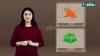 elearning videos production company | Enhance learning visually