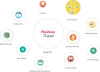 Website design, eCommerce development, Digital agency Melbourne