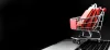 Ecommerce Website Design