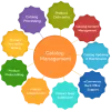 Substantial Business Administration & Data Entry - Decoding the Basics