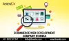 Best eCommerce Web Development Company in India: iBrandox
