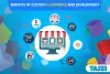Benefits of Custom E-commerce Web Development - Tajzi
