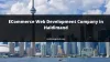 ECommerce Web Development Company in Haldimand 