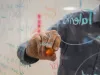 IB Economics IA Topics | SL and HL Ideas