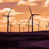 Energy Efficiency development