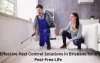 Effective Pest Control Solutions in Brisbane for a Pest-Free Life - Guest Post Submission