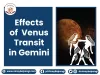 Effects of  Venus Transit in Gemini