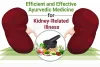 Efficient and Effective Ayurvedic Medicine for Kidney-Related Illness