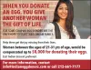 Finding Egg Donor Agencies in New York City