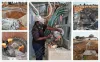 BTF4-8 Egg Tray Making Machine Installed in Zimbabwe - Beston Group