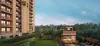 Arvind Elan |  Arvind Elan Pune