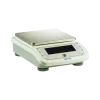 Electronic Balance 
