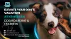 Elevate Your Dog's Vacation at K9 Heaven Dog Boarding &amp; Holidays