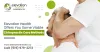 Elevation Health Offers You Some Viable Chiropractic Care Methods