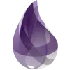 Hire Dedicated Elixir Developers | Creole Studios