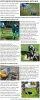 SEPTIC SPECIFIC FACTS BLUE poor - septicblue | ello