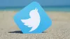 embed twitter feed