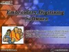 Embroidery Digitizing Software