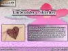 Embroidery Stitches