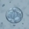 Embryo Freezing Cost in Delhi | Embryo Freezing Centre in India