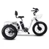 Home - Eco Mobility Ride