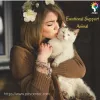Value of an emotional support animal in people’s life | Emotional Support Animal | PDSC