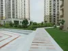 Paramount Emotions Ready to Move Flats in Noida Extension