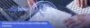 Employee Monitoring &amp; Data Confidentiality Practices - Workstatus