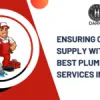 Best Plumbing Services in Delhi | Ensuring Consistent Water Supply