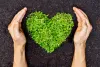 Best Socially Responsible Investing (SRI) Services in MA