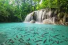 Bangkok phuket tour package, the best of Thailand