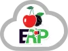 Enterprise Resource Planning Accounting Module | CherryberryERP