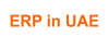 ERP in UAE and Dubai