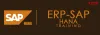 Best ERP HANA Training Noida | ERP HANA Training  Institute in Noida